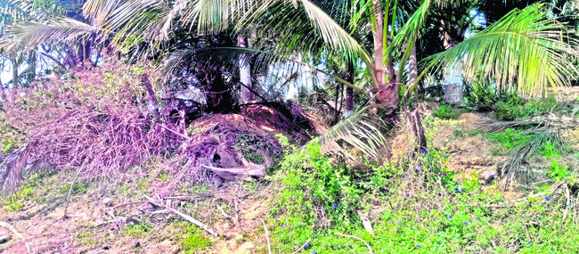 ఖాళీ స్థలం.. కనిపిస్తే వదలం..! 1