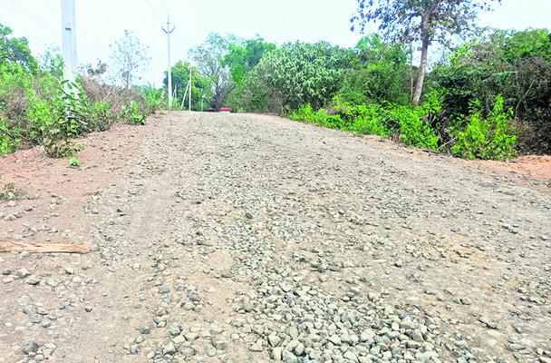 14 కి.మీ. ప్రయాణం.. ప్రాణసంకటం 2