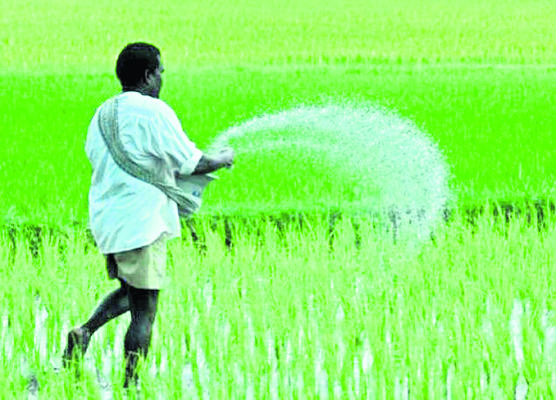 ఎరువులు అతిగా చల్లితే అనర్థం! 1
