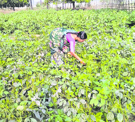 ఇంతింతై సాగుతూ..1