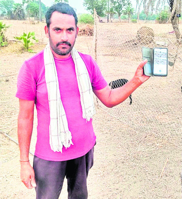 గొర్రెలకు సీసీ కెమెరా కాపలా2