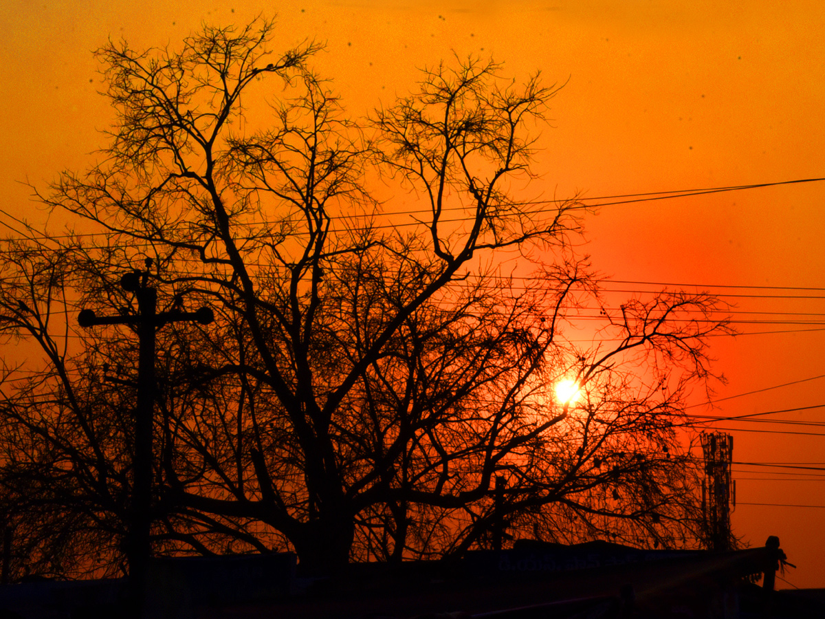 Best Photos of The Week in AP and Telangana Photo Gallery13