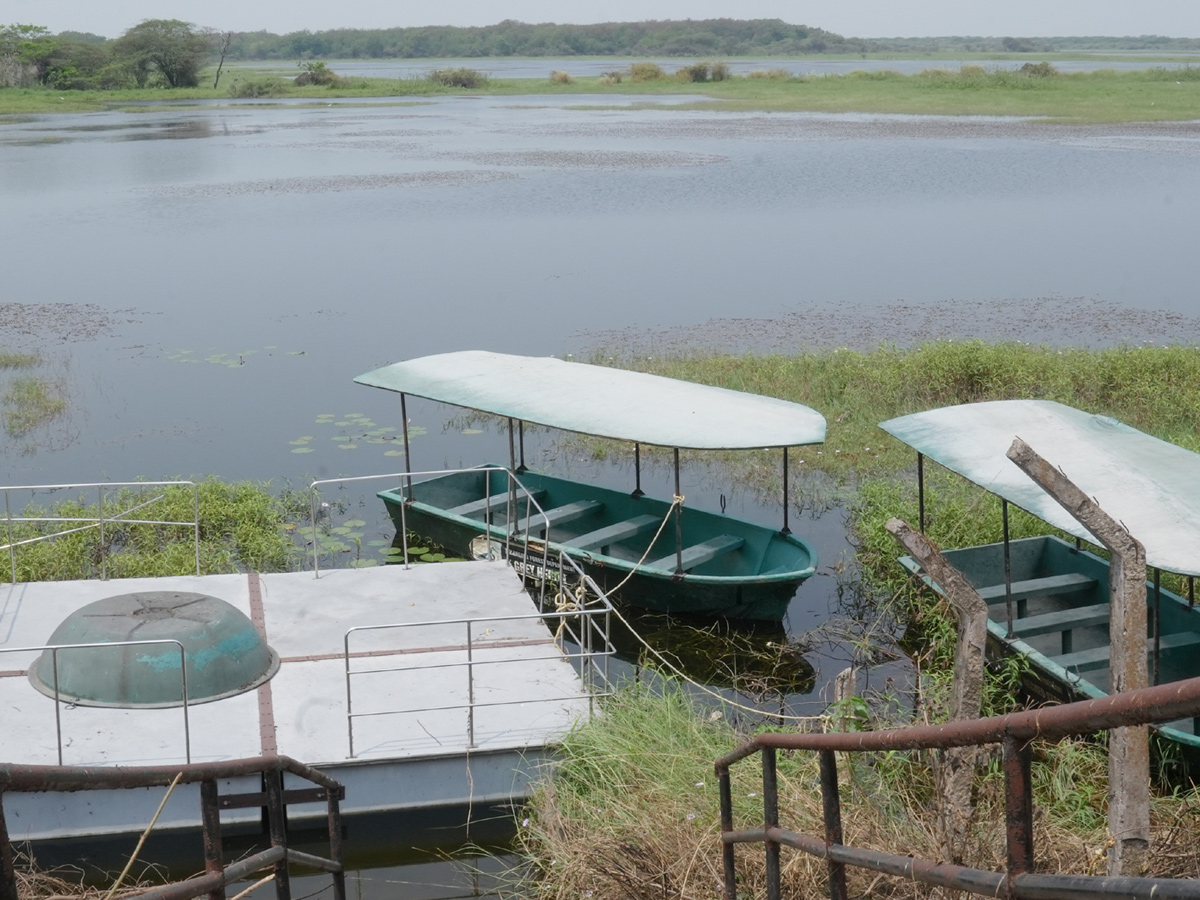 Best Photos of The Week in AP and Telangana Photo Gallery7