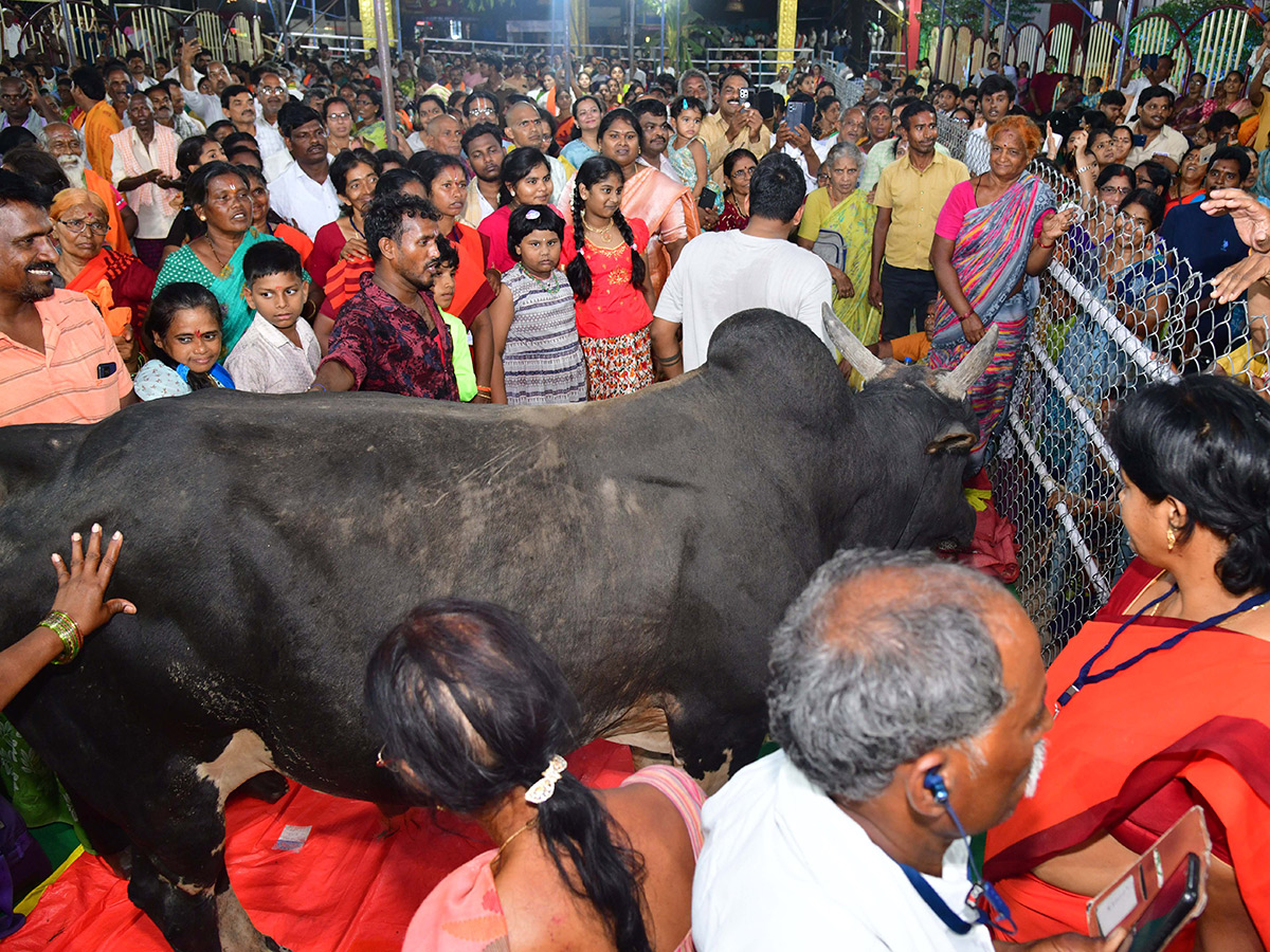 Devotional : sri rama navami 2026 in bhadrachalam11