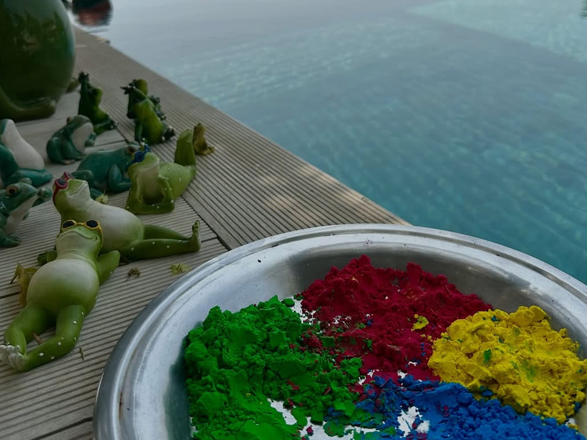 Celebreties share colourful Holi celebration Photos3