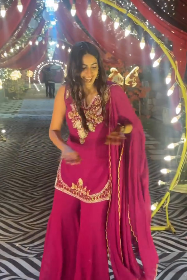 Mega Daughter Niharika Konidela Remembering February month Memories Photos14