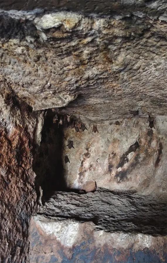Undavalli Caves Located in Guntur District22