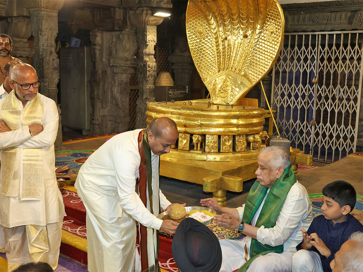 Annual Brahmotsavams at the Sri Kodandarama Swamy Temple in Tirupati12