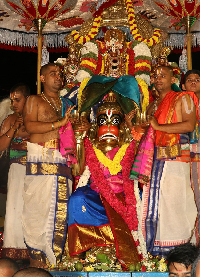 Vontimitta Kodanda Rama Swamy Brahmotsavalu17