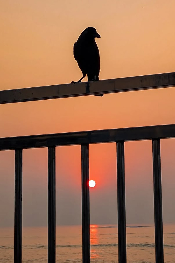 Actress Komalee Prasad Enjoys Devotional Trip Photos13