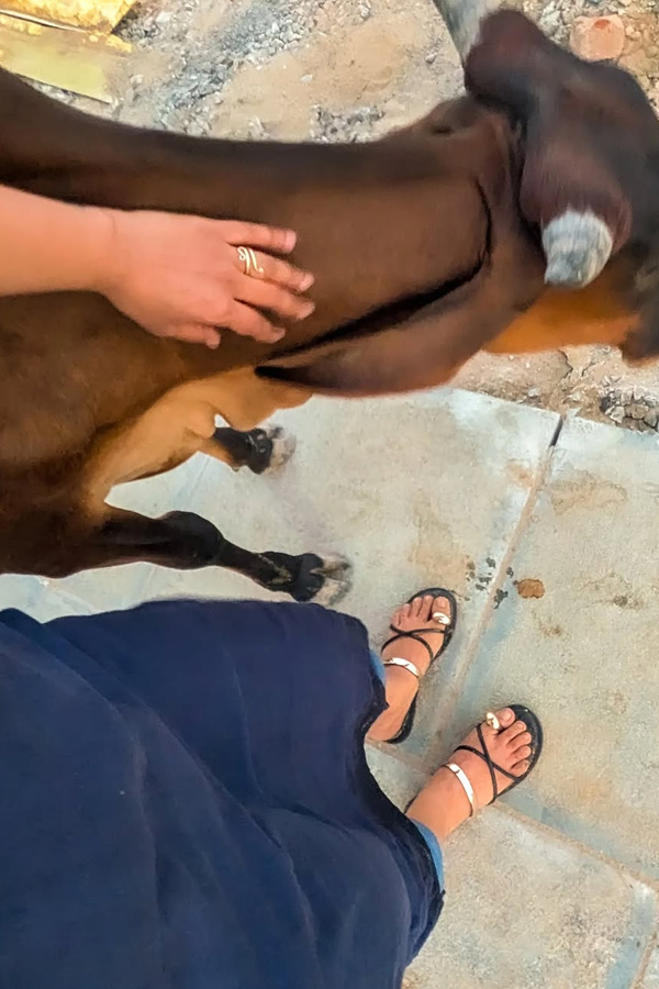 Actress Komalee Prasad Enjoys Devotional Trip Photos10