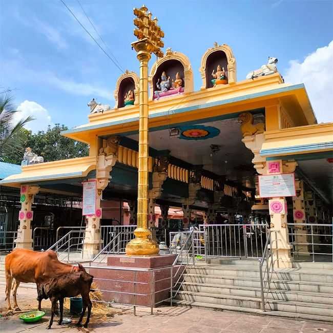 Sri Brahmarambika Mallikarjuna Swamy Devasthanam in Beeramguda11