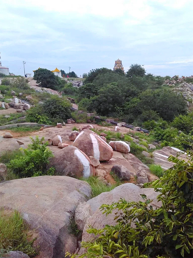 Sri Brahmarambika Mallikarjuna Swamy Devasthanam in Beeramguda23