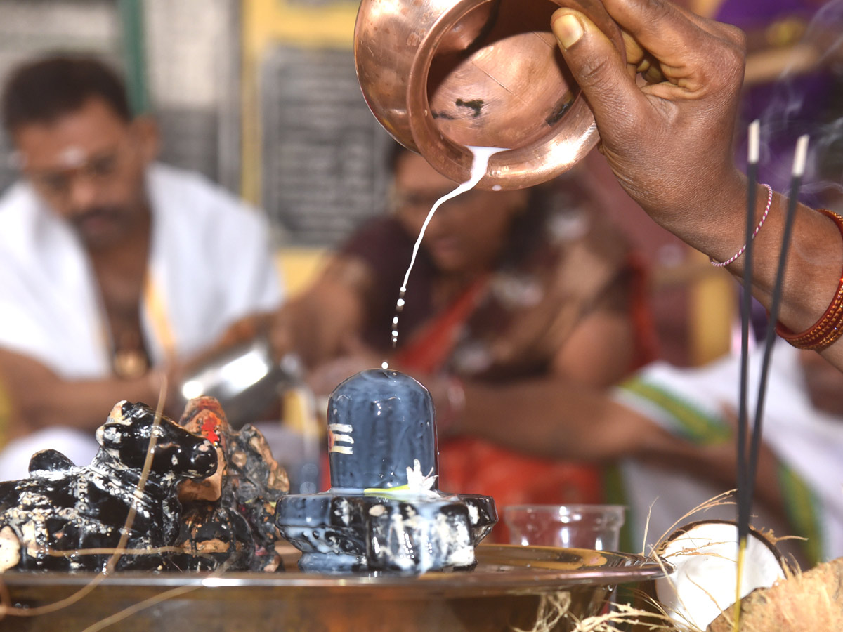 Best Photos of The Week in AP and Telangana Photo Gallery22