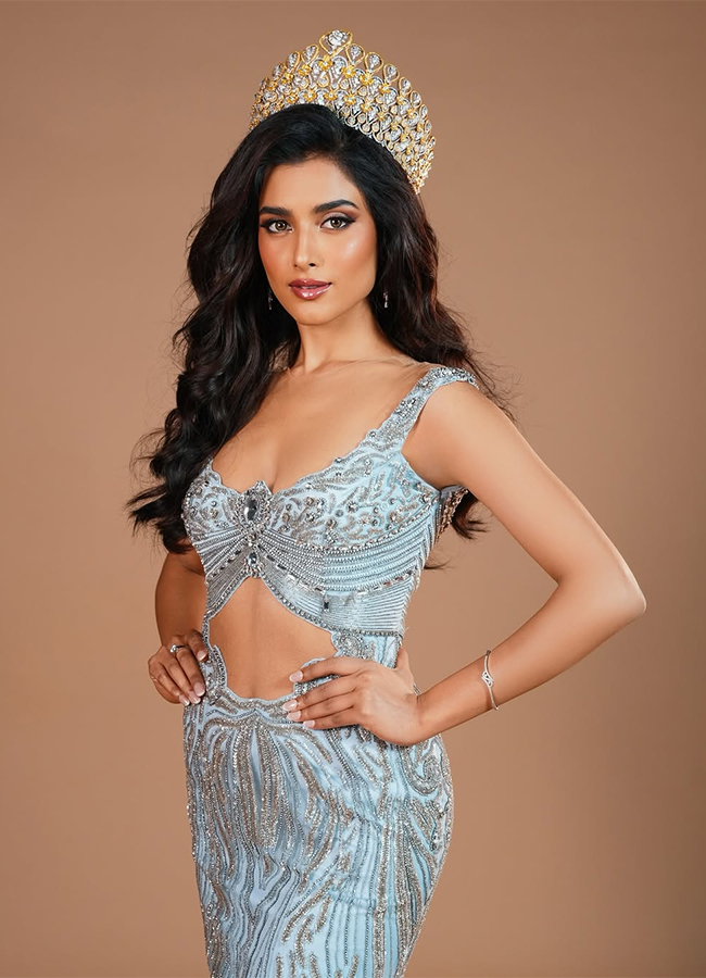 Miss India Nikita Porwal shines on red carpet in a stunning gown8