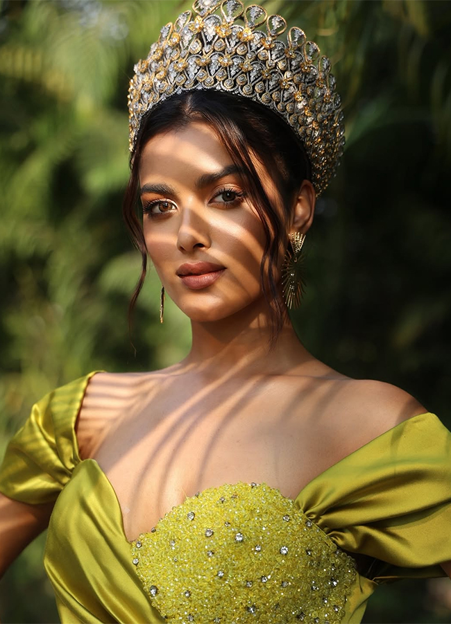 Miss India Nikita Porwal shines on red carpet in a stunning gown9