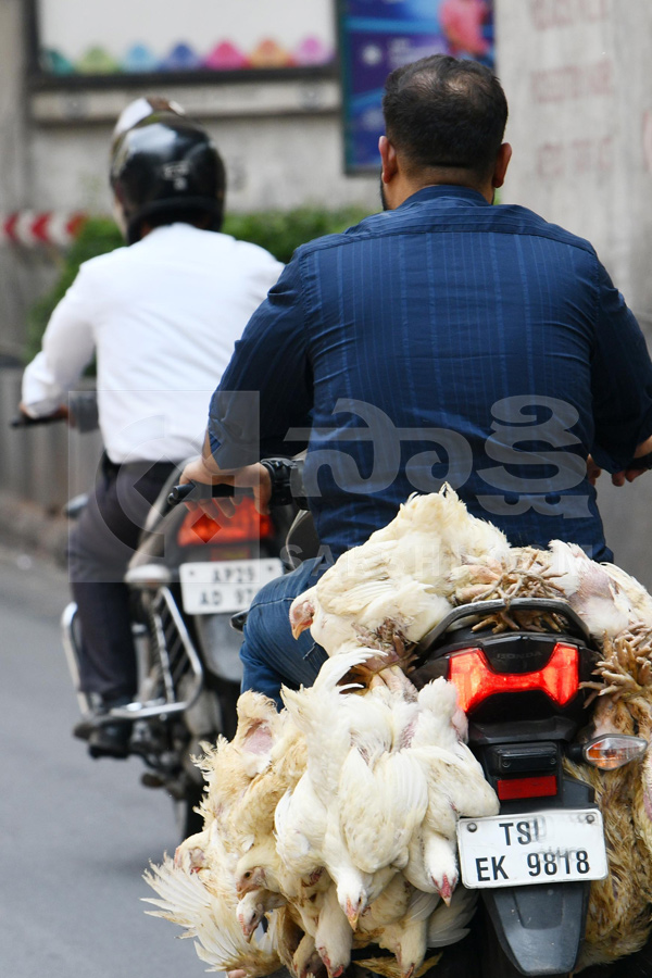 Public Struggling With Sun Heat Photos18