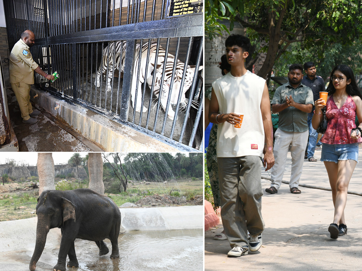 Summer Season Nehru Zoological Park Hyderabad1