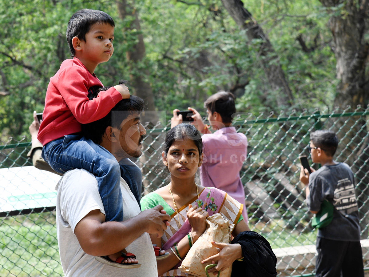 Summer Season Nehru Zoological Park Hyderabad10