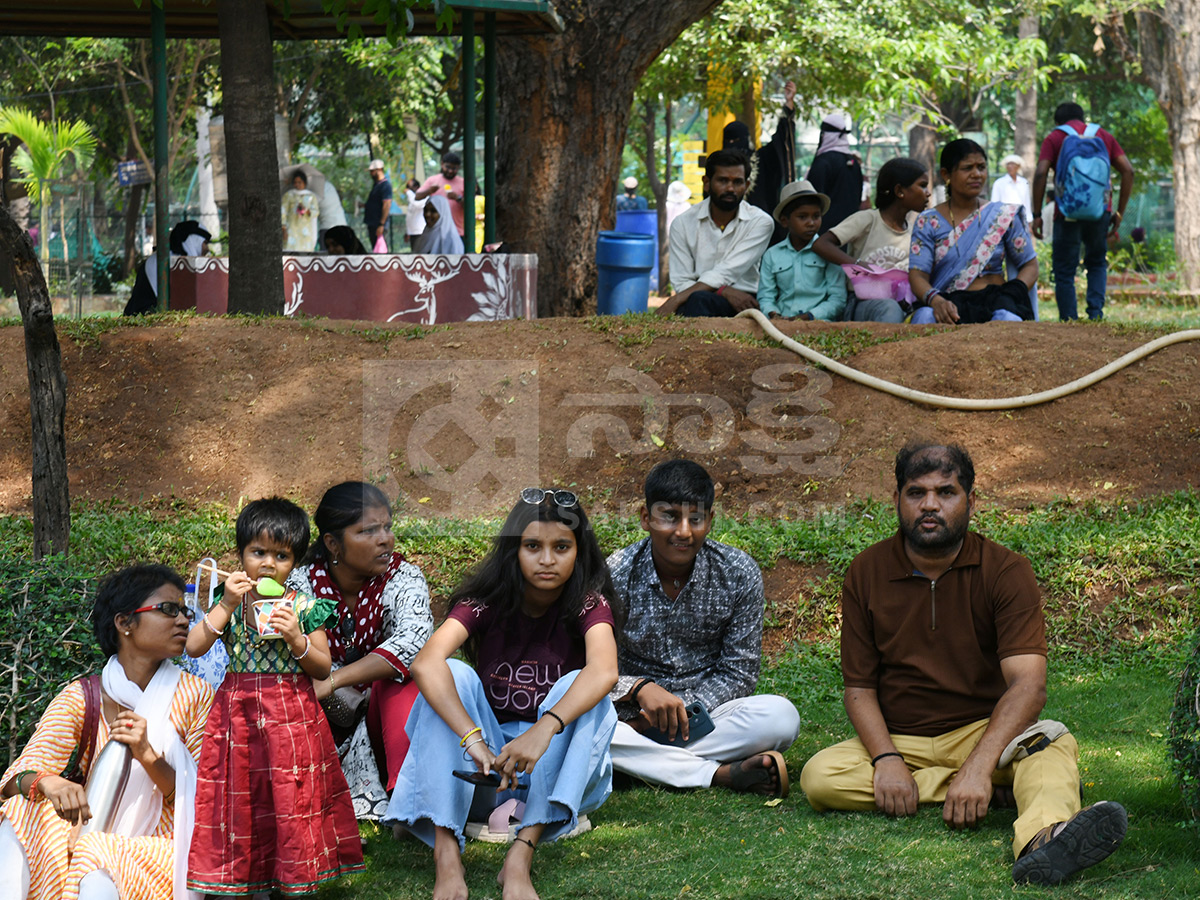 Summer Season Nehru Zoological Park Hyderabad12