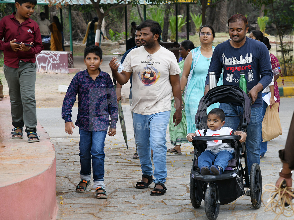 Summer Season Nehru Zoological Park Hyderabad16