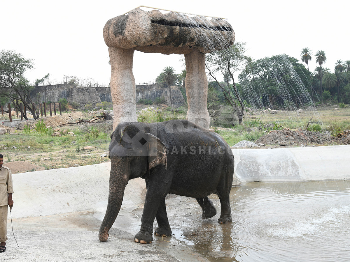 Summer Season Nehru Zoological Park Hyderabad18