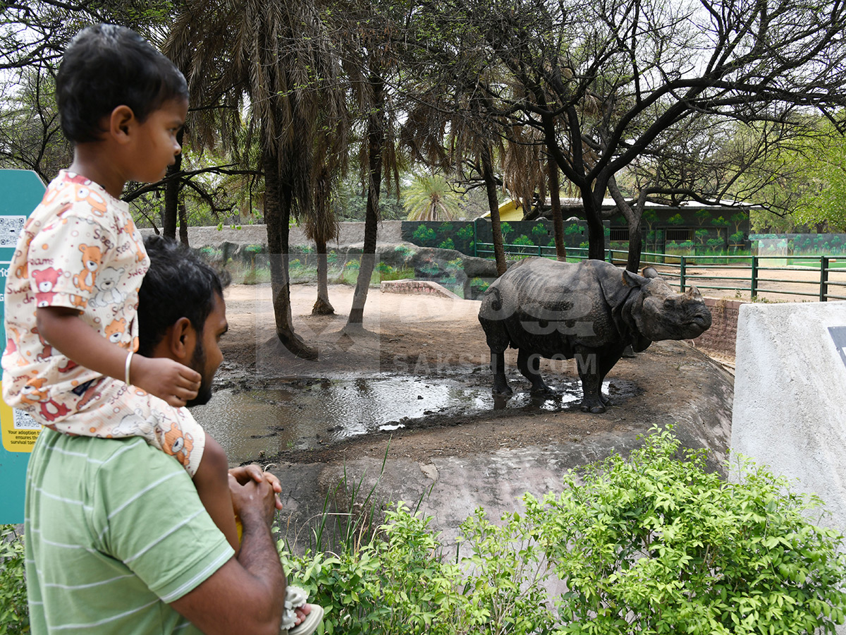 Summer Season Nehru Zoological Park Hyderabad25
