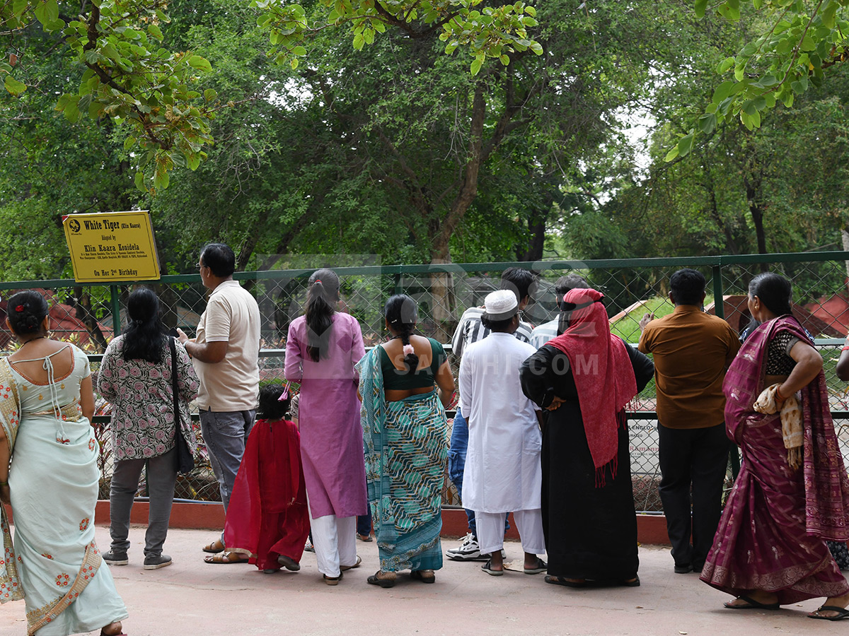 Summer Season Nehru Zoological Park Hyderabad5