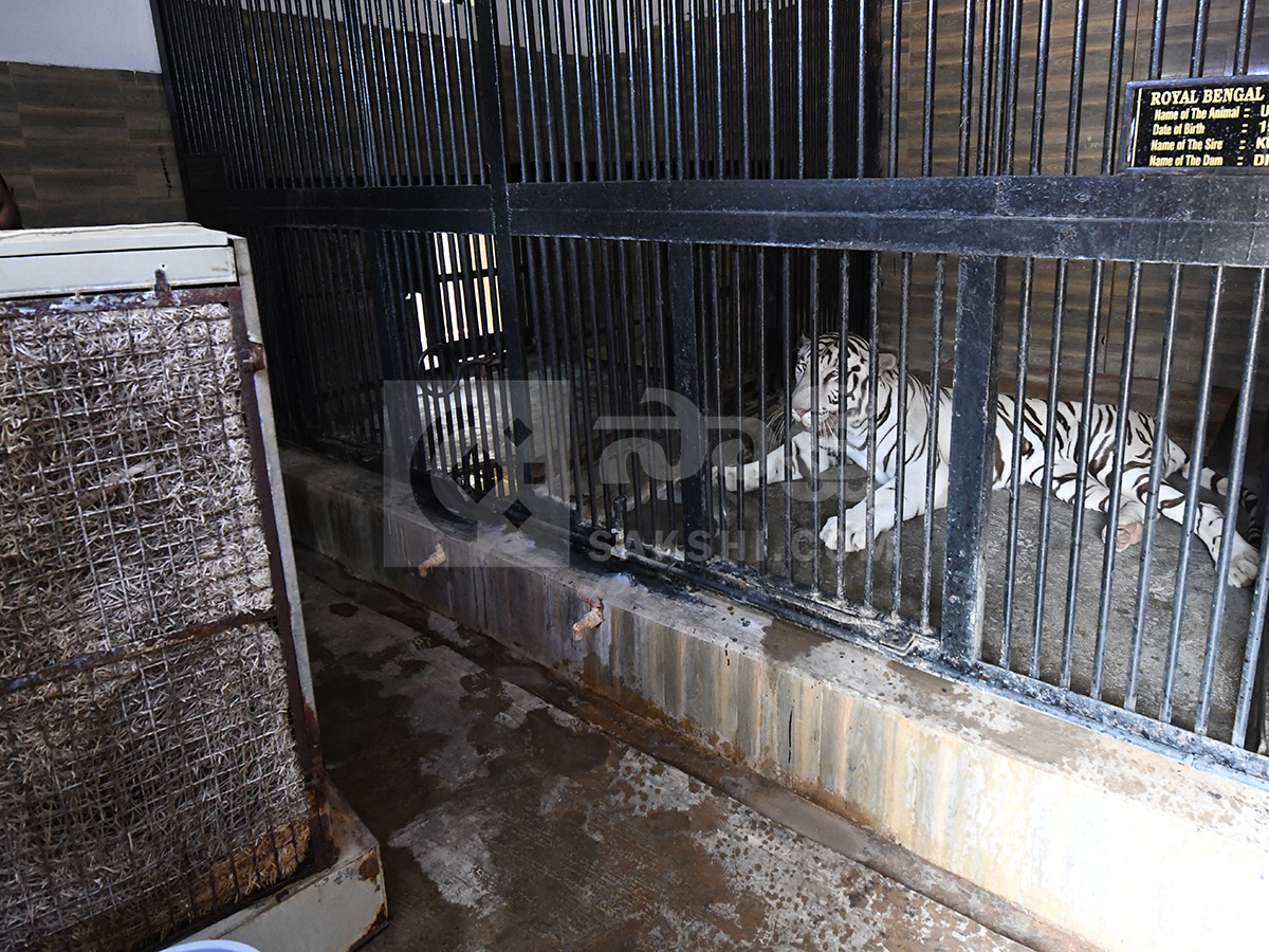 Summer Season Nehru Zoological Park Hyderabad6