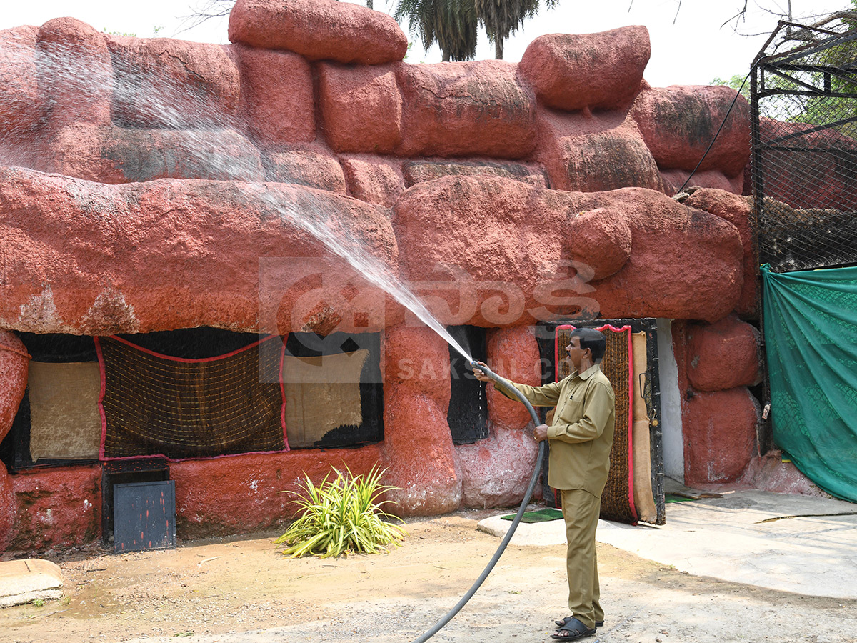 Summer Season Nehru Zoological Park Hyderabad8