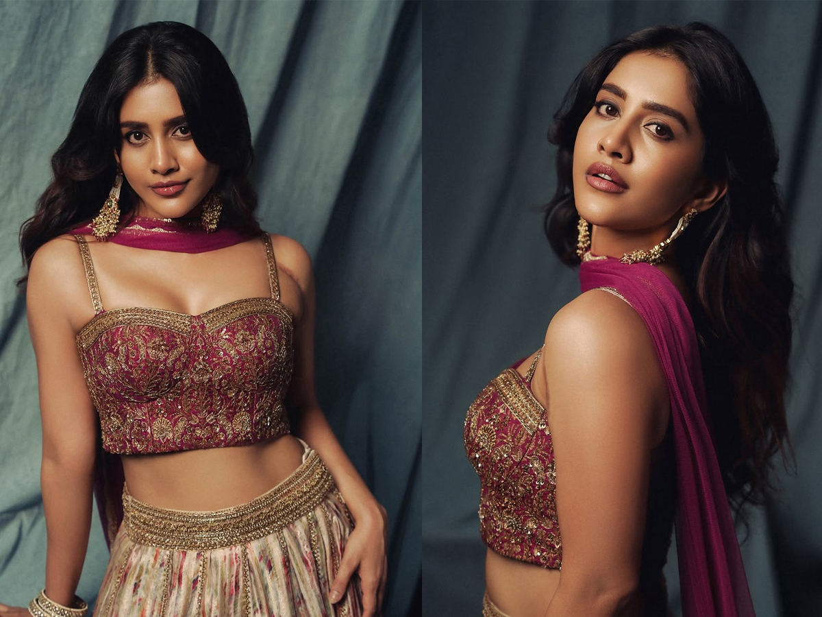 Tollywood Actress Nabha Natesh Viral Photos1