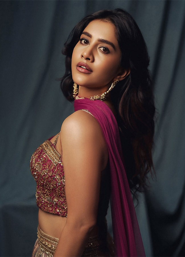 Tollywood Actress Nabha Natesh Viral Photos4