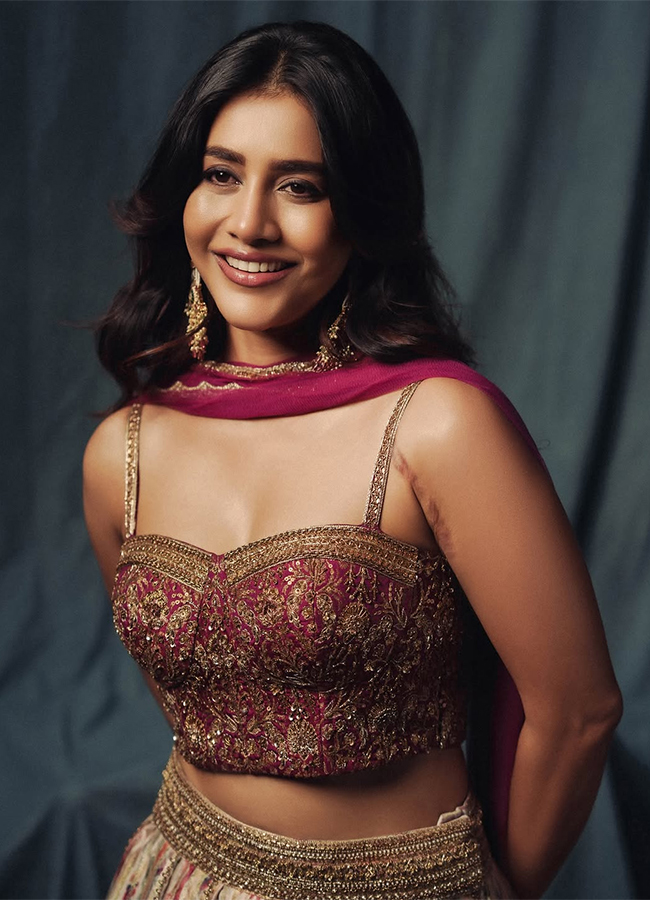 Tollywood Actress Nabha Natesh Viral Photos6