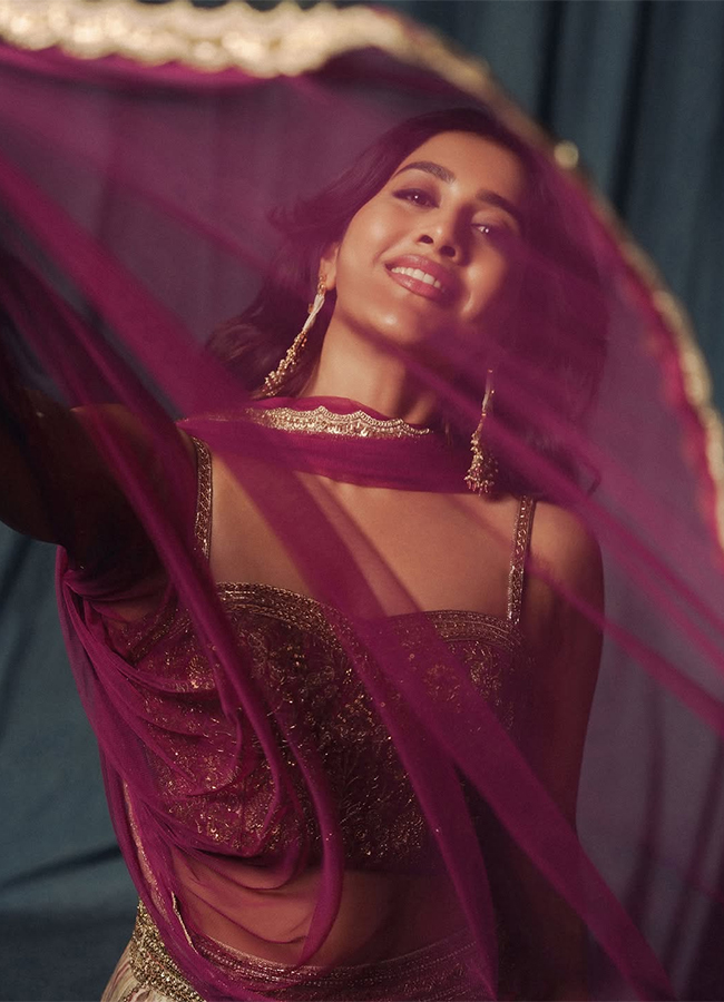 Tollywood Actress Nabha Natesh Viral Photos8