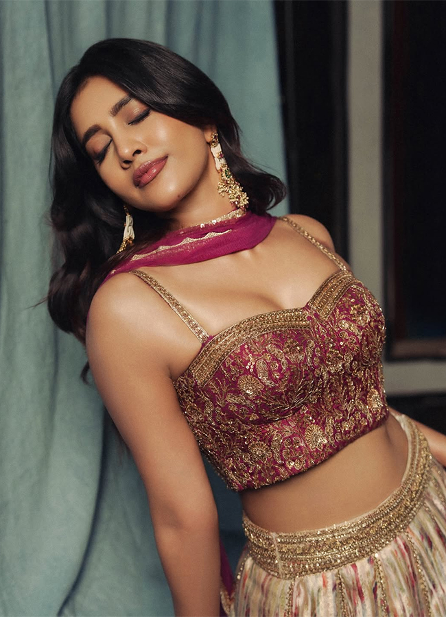 Tollywood Actress Nabha Natesh Viral Photos9