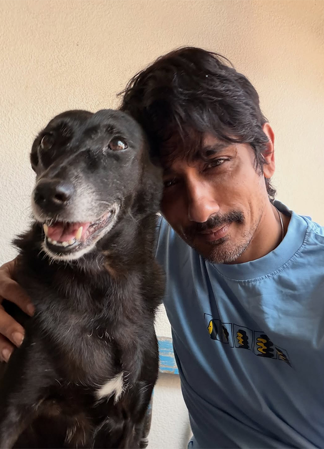 Indian Actor Siddharth Birthday Special Photos11