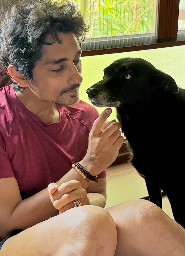 Indian Actor Siddharth Birthday Special Photos3