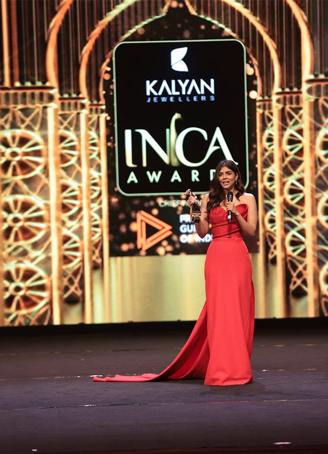 Indian National Cine Academy Awards in Mumbai HD Photos6
