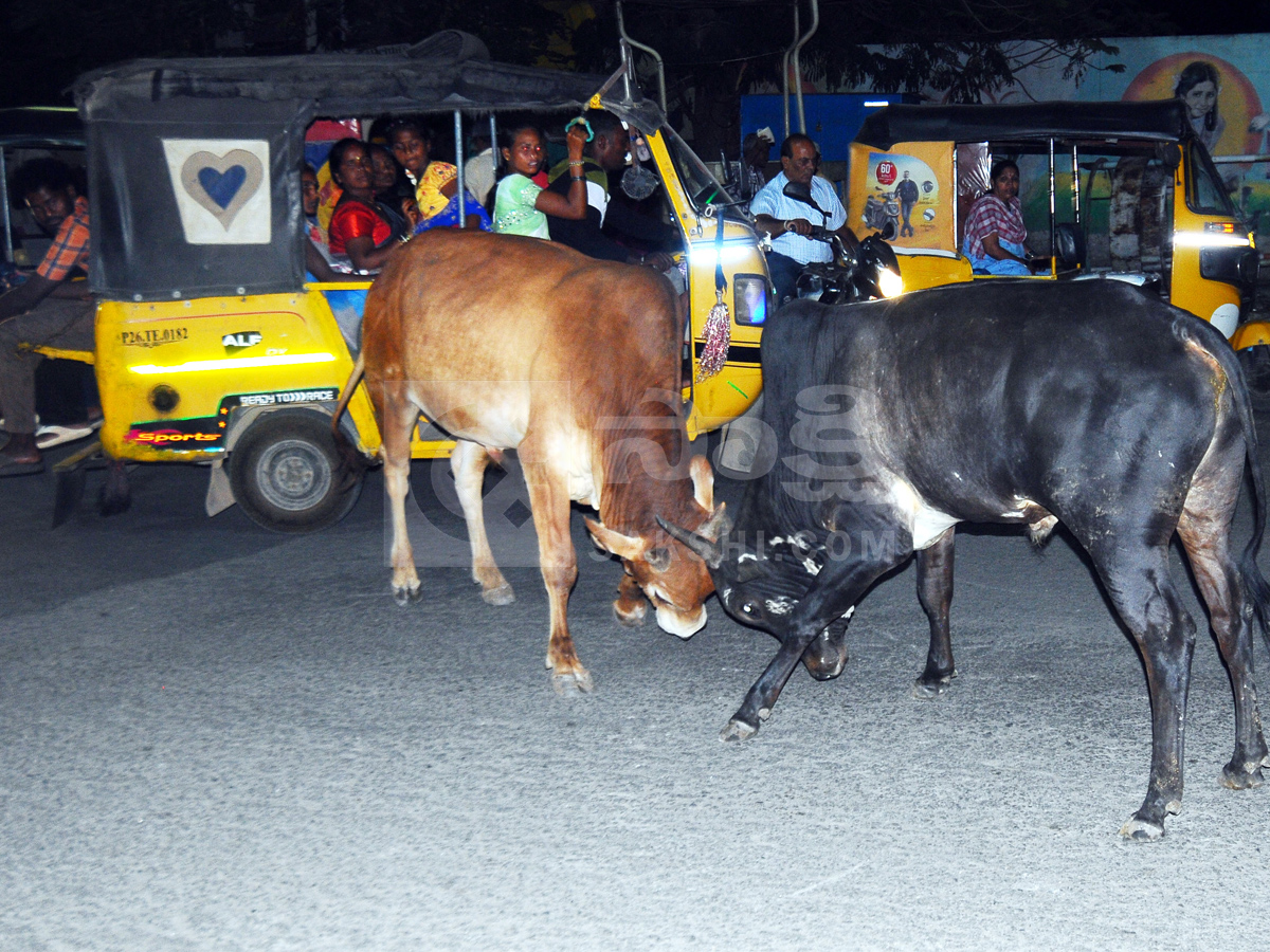 Best Photos of The Week in AP and Telangana Photo Gallery2