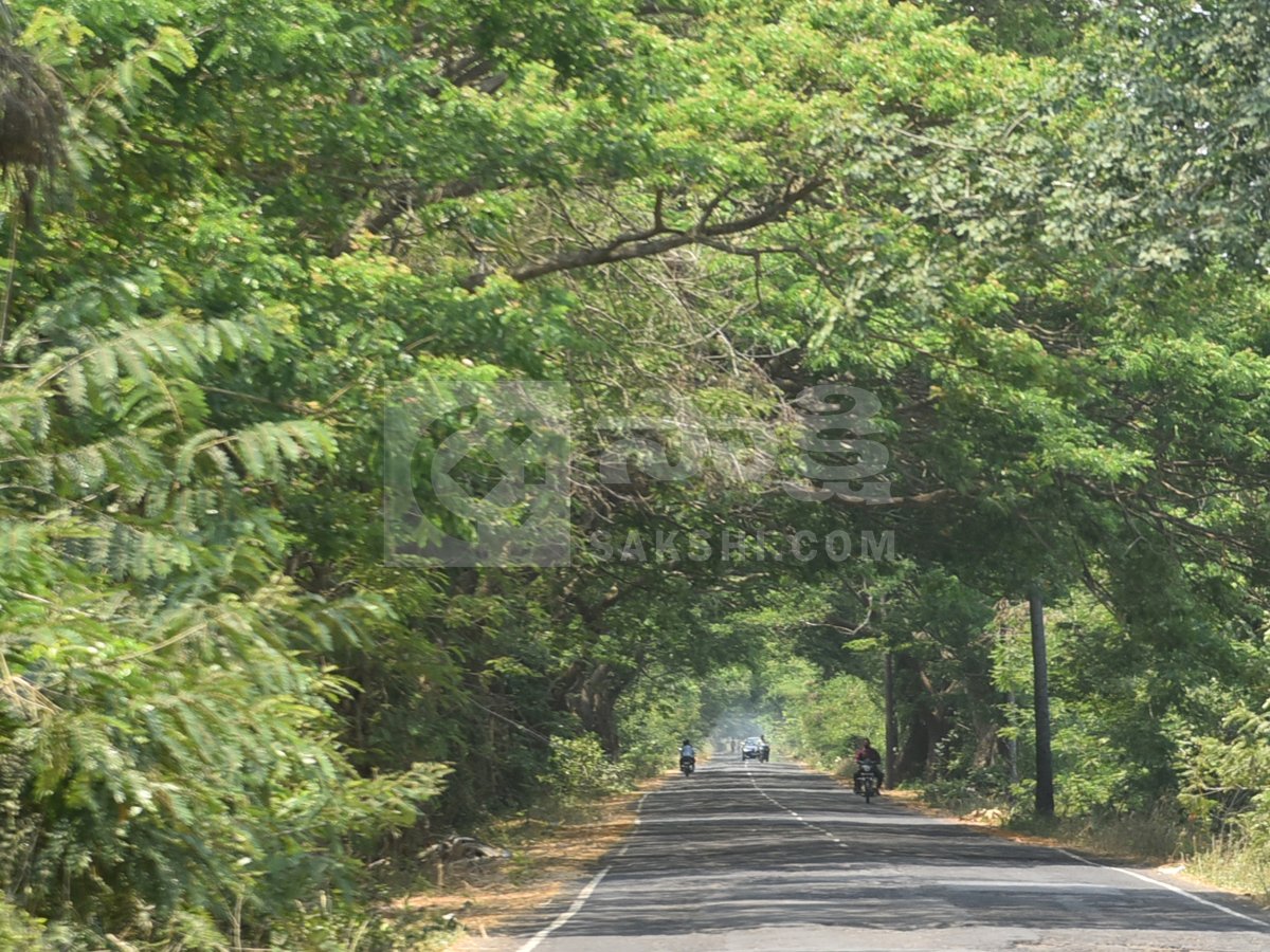 Best Photos of The Week in AP and Telangana Photo Gallery11