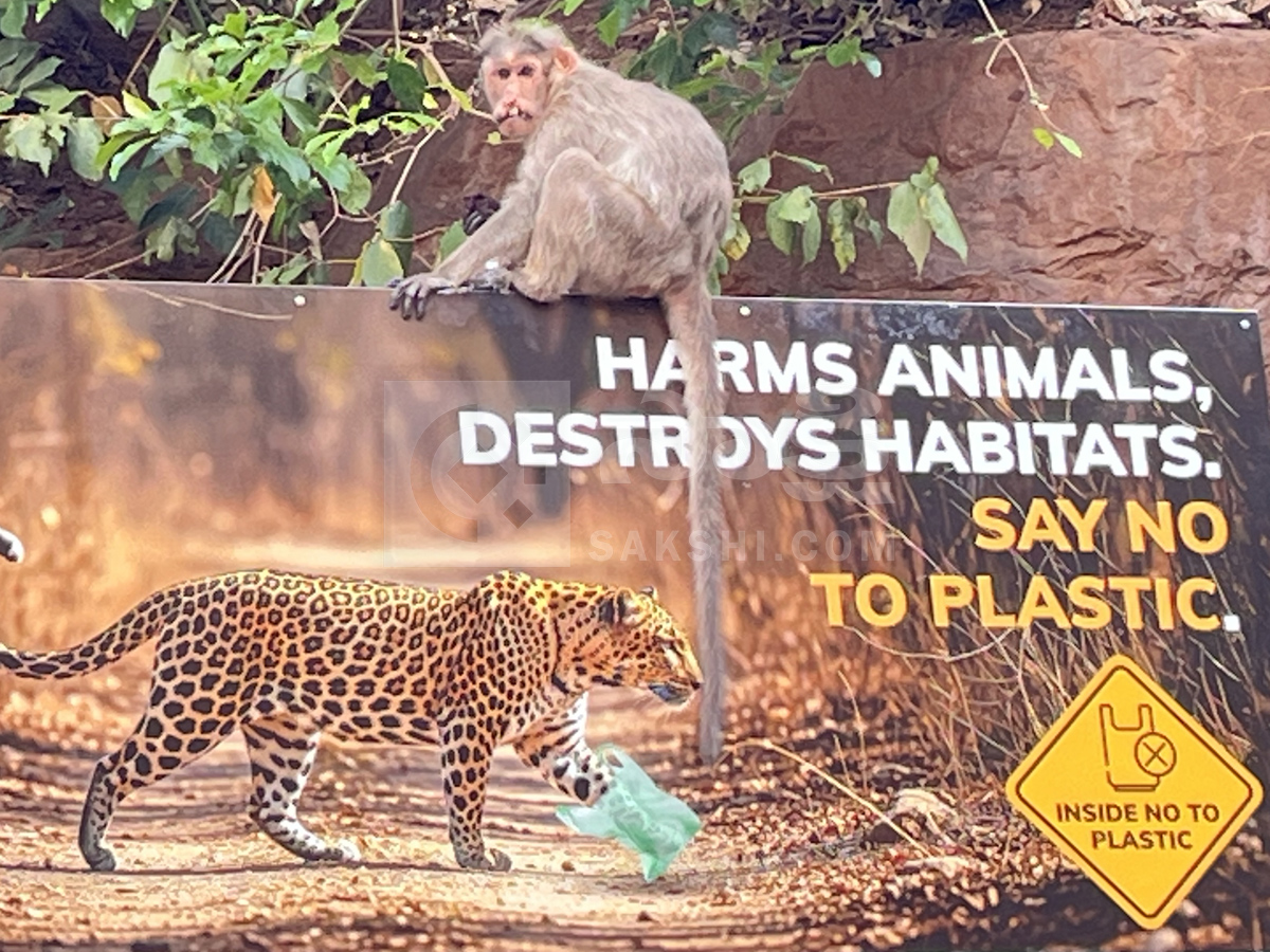 Best Photos of The Week in AP and Telangana Photo Gallery12