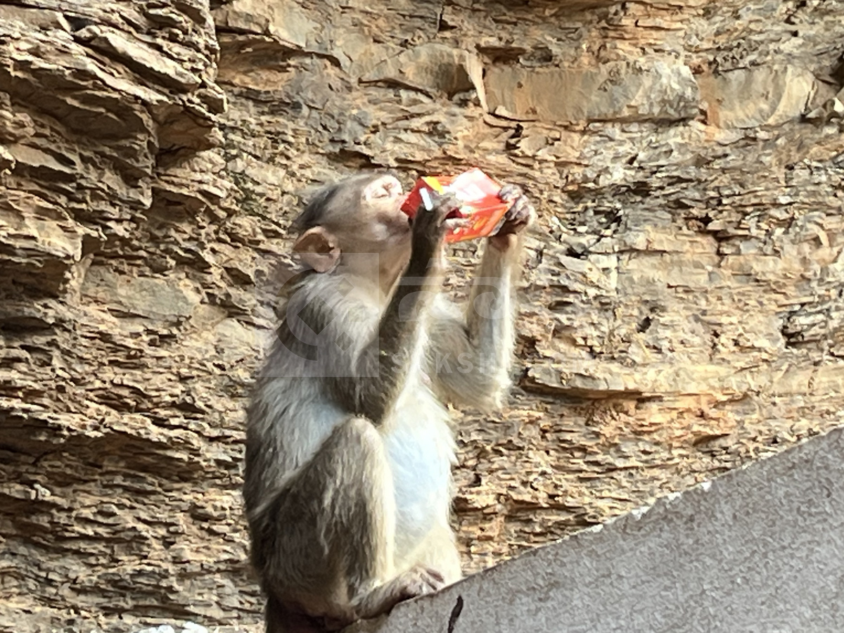 Best Photos of The Week in AP and Telangana Photo Gallery13