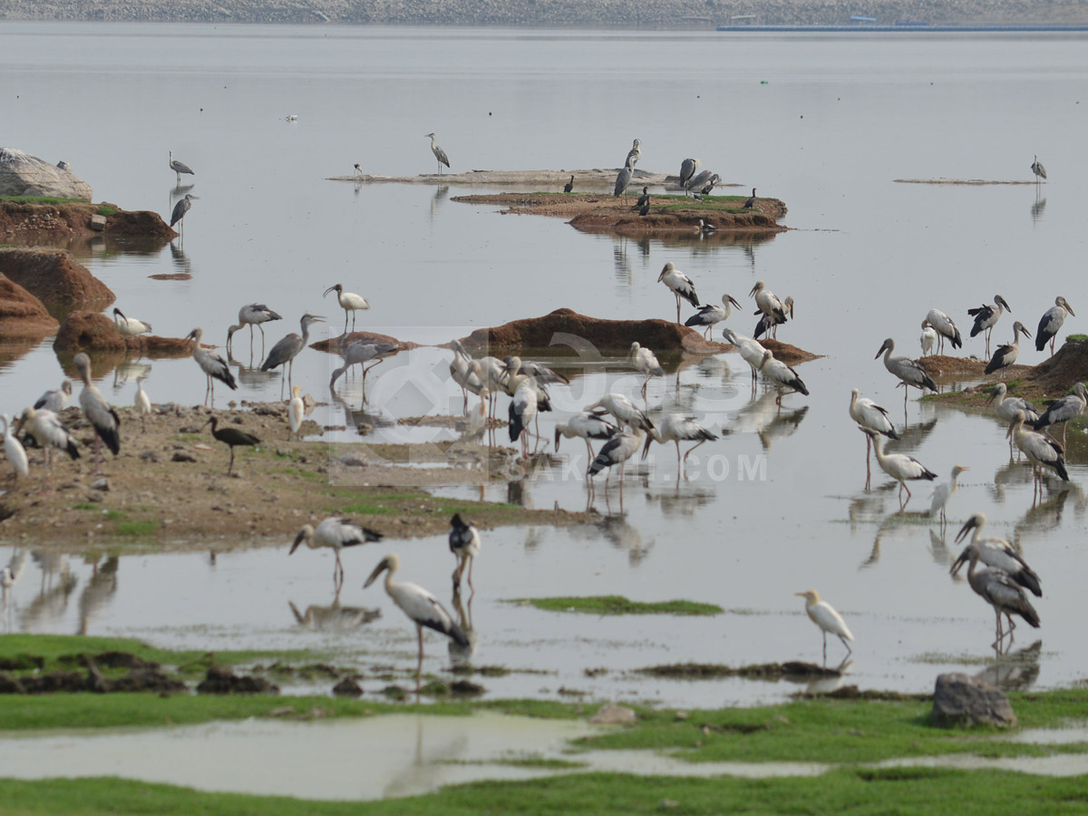 Best Photos of The Week in AP and Telangana Photo Gallery30