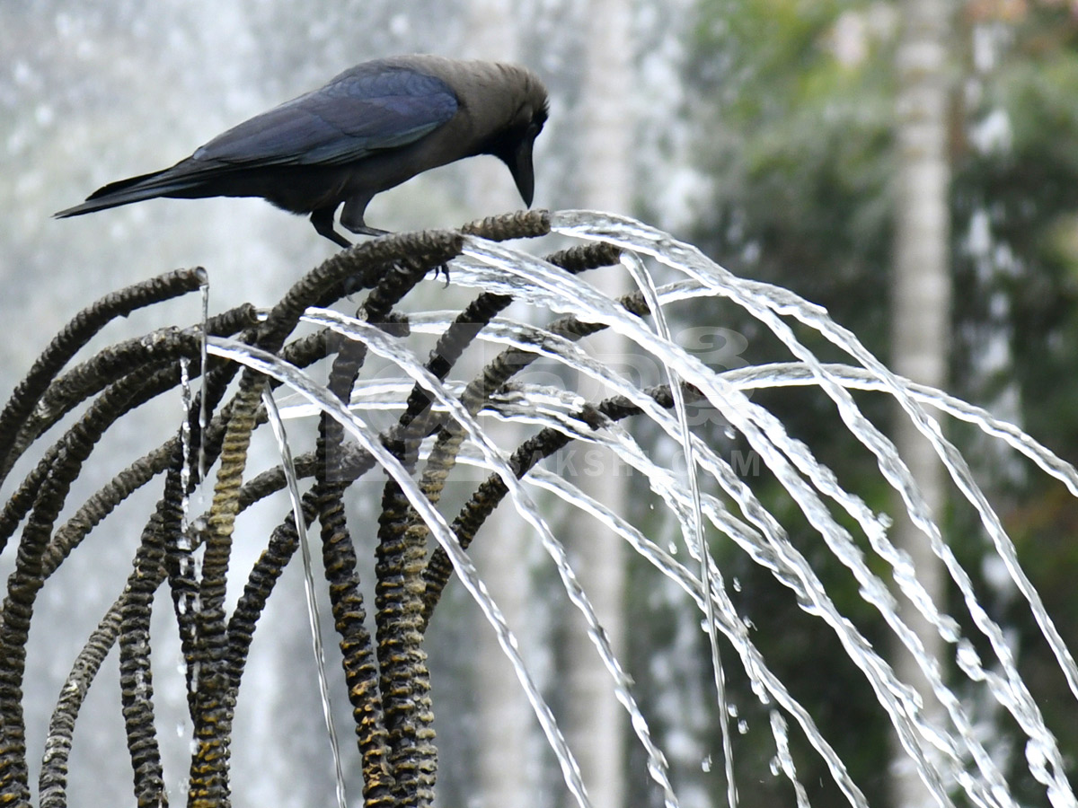 Best Photos of The Week in AP and Telangana Photo Gallery36
