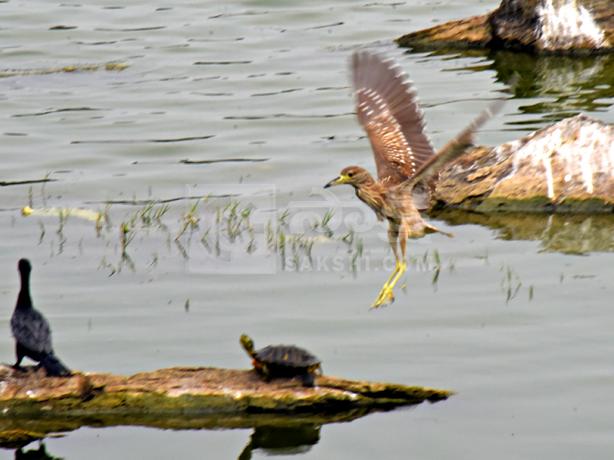 Best Photos of The Week in AP and Telangana Photo Gallery39