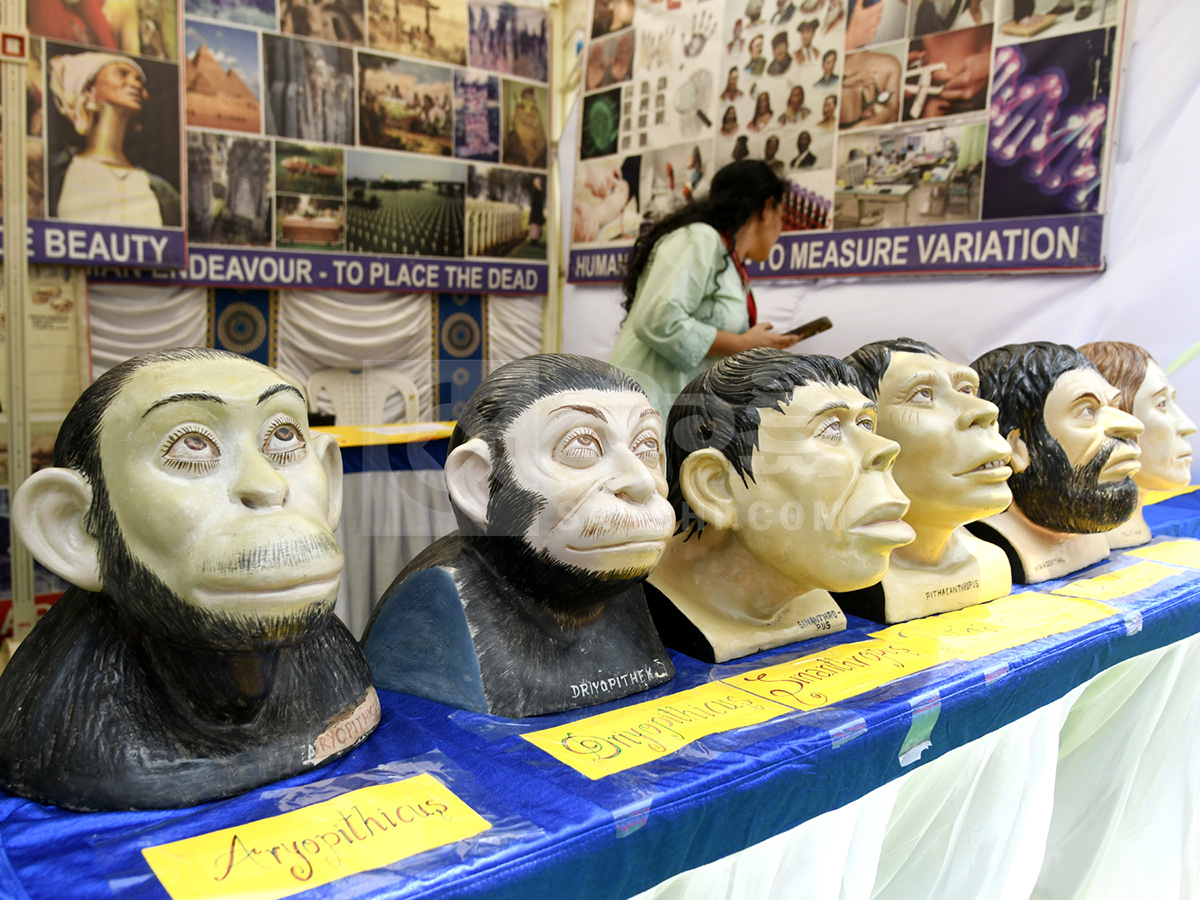 Kala Centennial Saga Art Exhibition Andhra University8