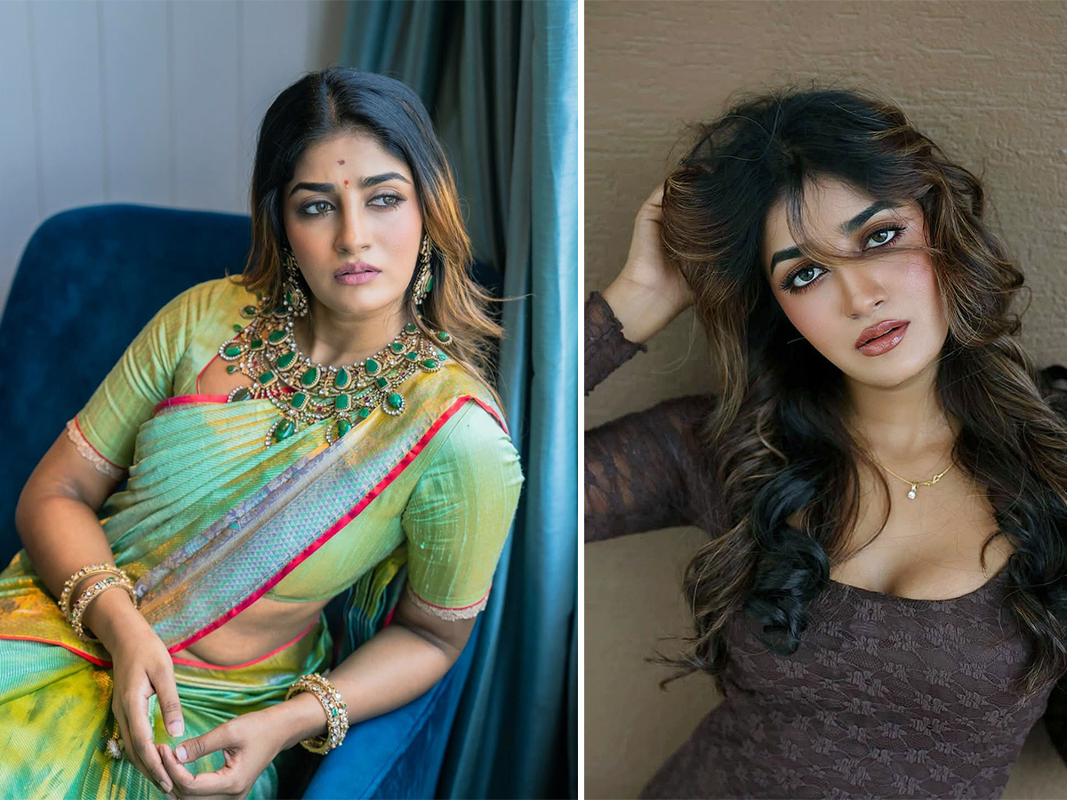 Tollywood Actress Dimple Hayathi Latest Pics1