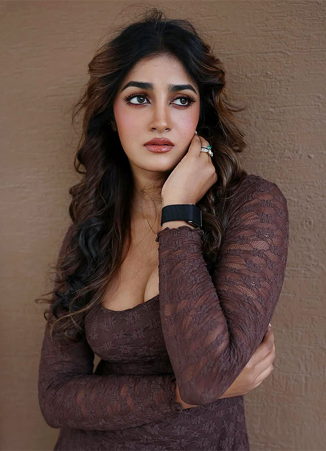 Tollywood Actress Dimple Hayathi Latest Pics13