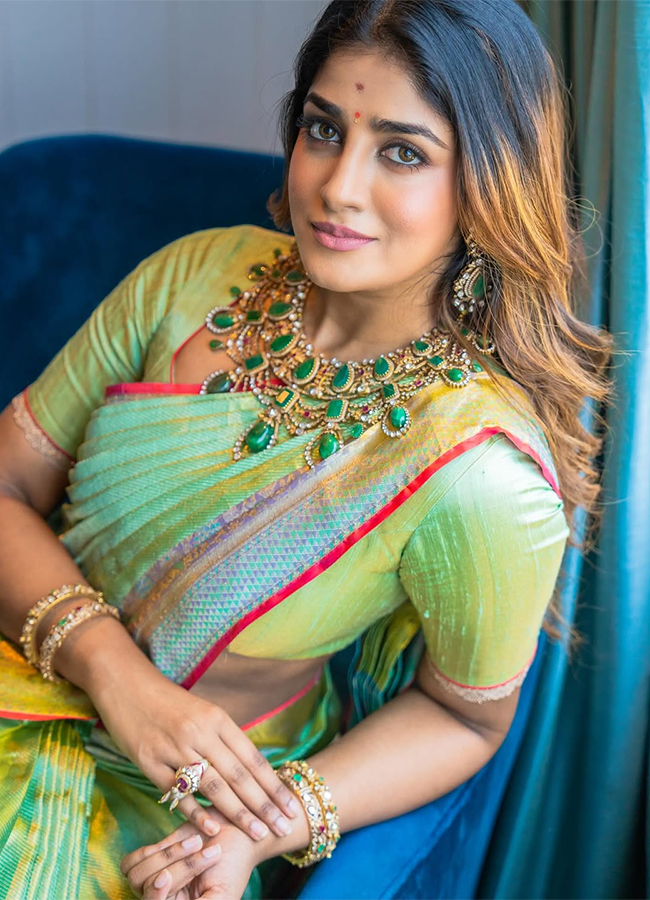 Tollywood Actress Dimple Hayathi Latest Pics2