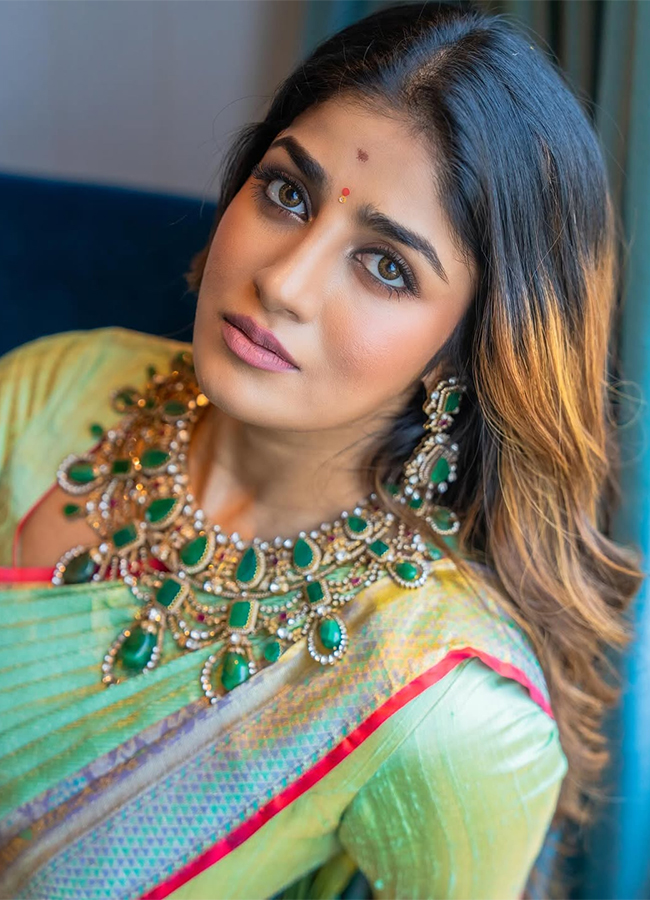 Tollywood Actress Dimple Hayathi Latest Pics3